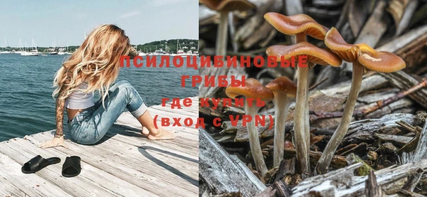 прущая мука Магас